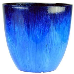 The Most Beautiful Pots for a Fiddle Leaf Fig Tree (Buy Online) 8 Blue Pot