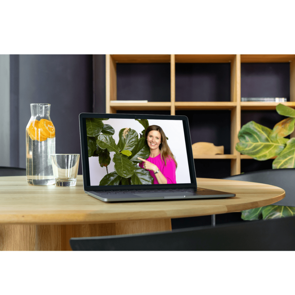 fiddle leaf fig problems? Ask the fiddle leaf fig dr