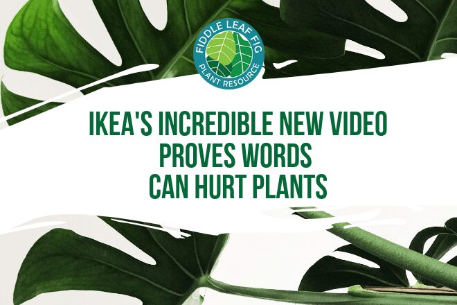 Ikea's incredible new video