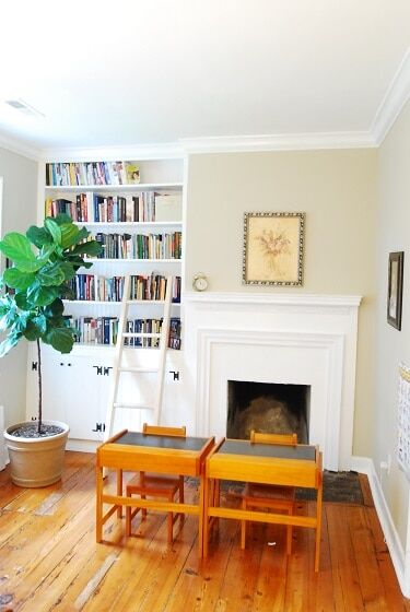 creative places to put a fiddle leaf fig plant library