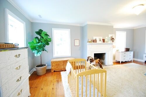 Beyond the Predictable: 5 Creative Places to Put a Fiddle Leaf Fig Plant 3 creative places to put a fiddle leaf fig plant nursery
