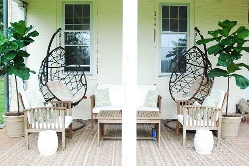 Beyond the Predictable: 5 Creative Places to Put a Fiddle Leaf Fig Plant 5 creative places to put a fiddle leaf fig plant outdoors