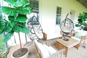 creative places to put a fiddle leaf fig plant outdoors