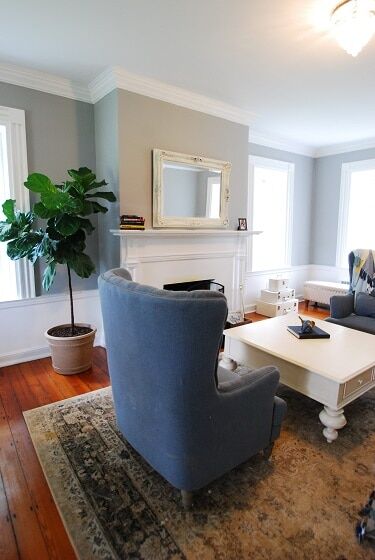What Designers Mean by "White Space" (And How the Fiddle Leaf Fig Perfectly Exemplifies This Interior Decorating Trick) 11 What Designers Mean by White Space Fiddle Leaf Fig Plant Resource