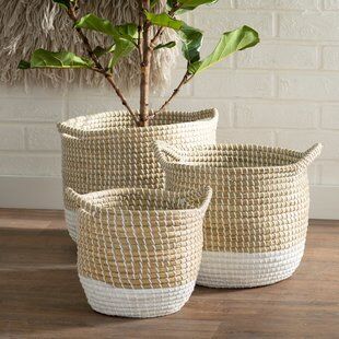 Where to Find a Great Basket for Your Fiddle Leaf Fig Tree