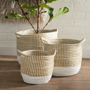 Where to Find the Best Basket for a Fiddle Leaf Fig Tree 4 Where to Find a Great Basket for Your Fiddle Leaf Fig Tree