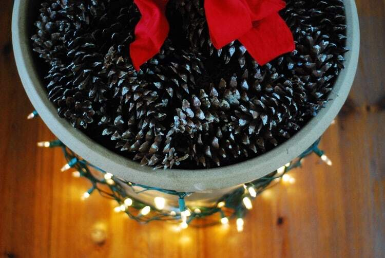 Deck the Halls And Your Fiddle Leaf Fig Tree This Christmas Season pine cones