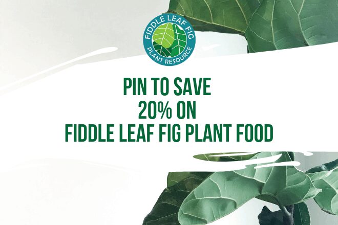 Looking for a fiddle leaf fig plant food coupon code? Share our webinar now and get your coupon code to save 20% on Fiddle Leaf Fig Plant Food. 