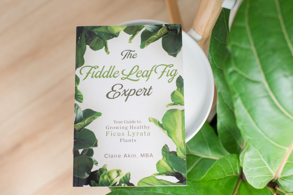 Fiddle Leaf Fig Plant Resource Book