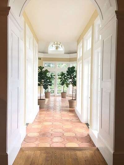 How Fast Do Fiddle Leaf Fig Trees Grow?
(With a Photo Timeline) 7 How fast do fiddle leaf fig tress grow is a common question here at The Fiddle Leaf Fig Plant Resource. Click to view a full photo timeline. Claire Akin