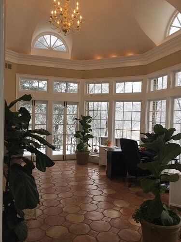 Do Fiddle Leaf Fig Trees Go Dormant In Winter? Your Seasonal Fiddle Care Questions Answered 5 Wondering if your fiddle leaf fig goes dormant in winter? Click to learn the answers to your seasonal fiddle leaf fig questions. Claire Akin