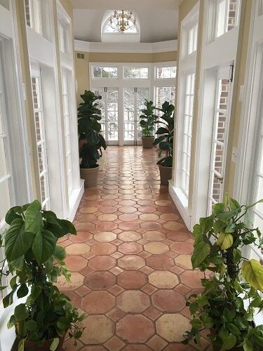Do Fiddle Leaf Fig Trees Go Dormant In Winter? Your Seasonal Fiddle Care Questions Answered 6 Wondering if your fiddle leaf fig goes dormant in winter? Click to learn the answers to your seasonal fiddle leaf fig questions. Claire Akin