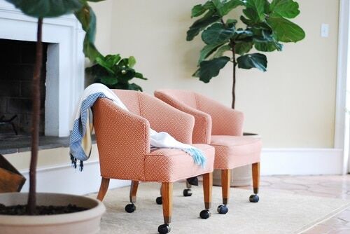 3½ Ways to Grow a Taller Fiddle Leaf Fig Tree 6 Do you want your fiddle leaf fig tree to grow taller? Click to read 3 1/2 smart and easy ways to grow a taller fiddle leaf fig tree. Claire Akin