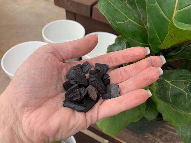 Advanced Fiddle Care: How to Create Custom Fiddle Leaf Fig Soil 6 Are you an expert fiddle leaf fig grower? Click to learn how to create your own custom fiddle leaf fig soil to keep your tree healthy, green, and gorgeous.