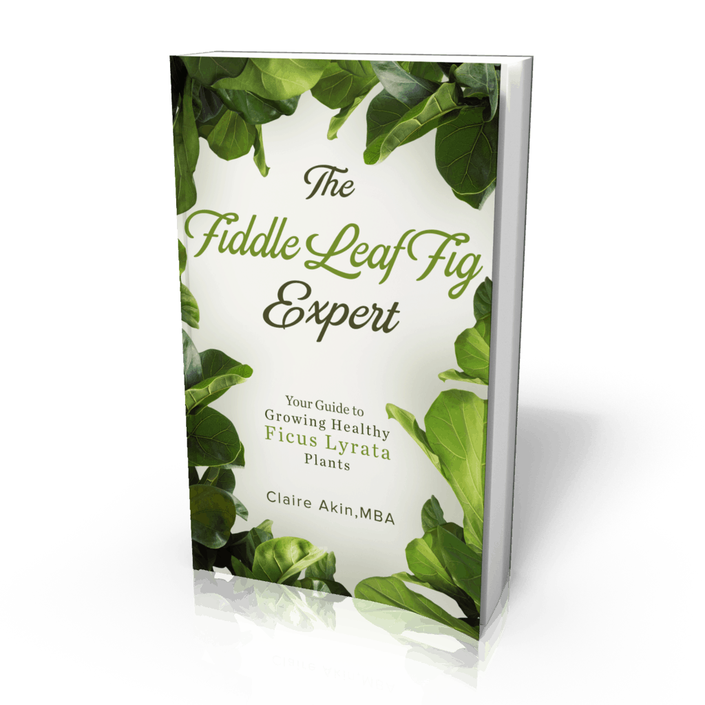 The Fiddle Leaf Fig Book has a new cover and a lower price. Click to see the brand new cover for The Fiddle Leaf Fig Book and the new price. Claire Akin