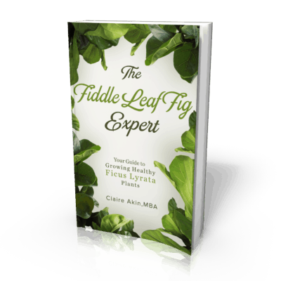 The Fiddle Leaf Fig book Has a New Cover and a Lower Price!