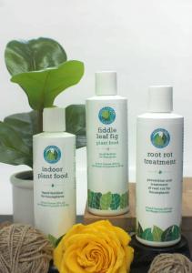 Fiddle Leaf Fig Products