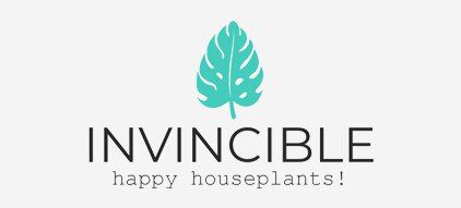 Invincible House Plants