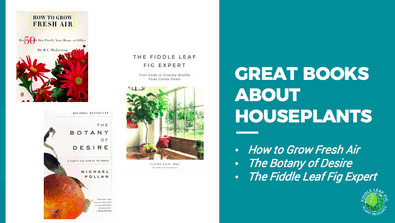 THE EXCLUSIVE FIDDLE LEAF FIG CARE 101 WEBINAR 10 books about houseplants
