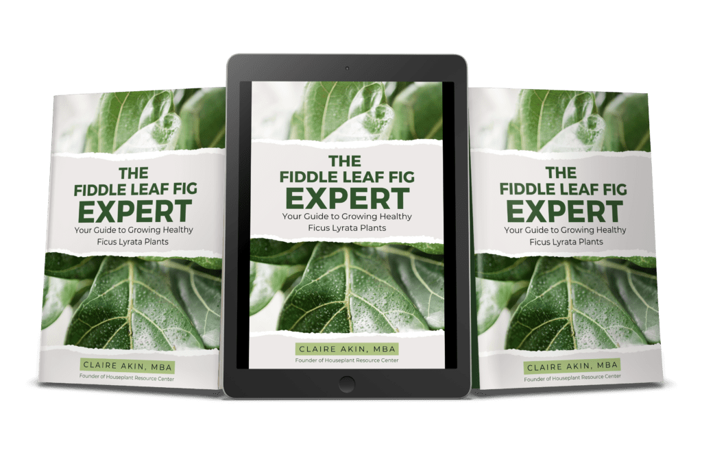 Check out this video about why I wrote the Fiddle Leaf Fig Plant Expert Book. Learn more about the Fiddle Leaf Fig Plant Expert Book.