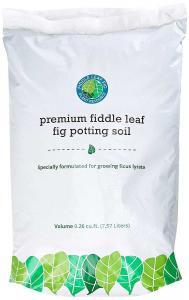 Discover the best fiddle leaf fig soil for your plants. Our soil allows for the perfect balance of water absorption and drainage to keep your plant healthy. 