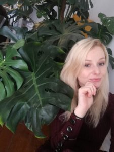 How to Care For Your Ficus Bonsai 8 Mari