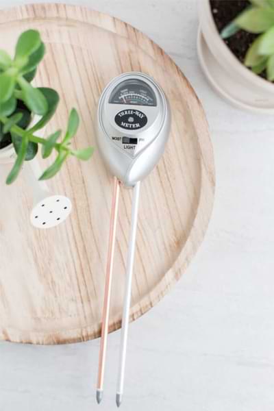 How (and Why) to Acclimate Your Fiddle Leaf Fig to Full Sun 6 Moisture Meter