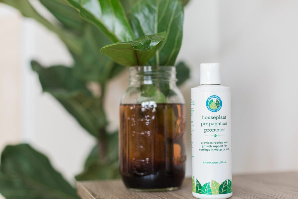 Propagate your plant cuttings with our propagation promoter and rooting hormone. Learn how to use our product to successfully clone your plants.