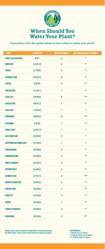 Moisture Meter Chart for Houseplants