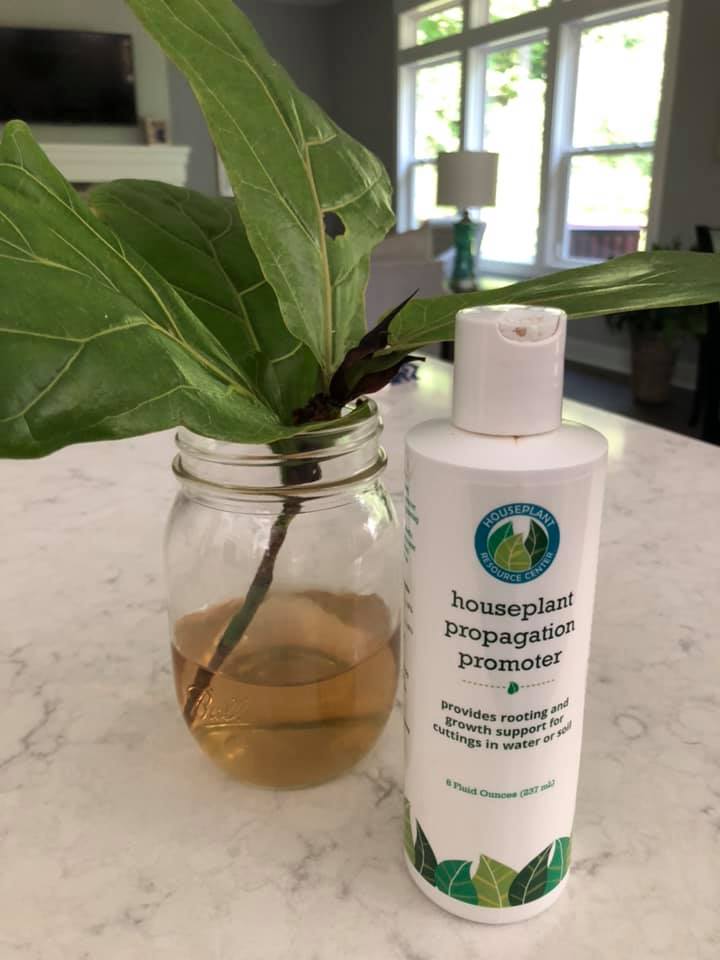 Houseplant Propagation Promoter