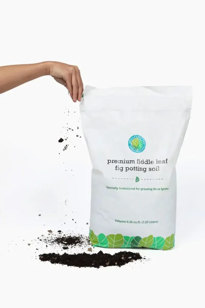 Premium Fiddle Leaf Fig Potting Soil for growing Ficus Lyrata at fiddleleaffigplant.com-Fiddle Leaf Fig Plant Resource