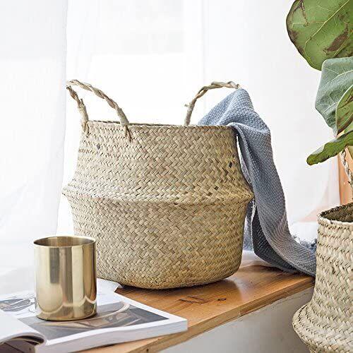 Top 10 Fiddle Leaf Fig Products and Tools 7 Decorative Pot
