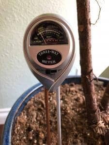 How to Use a Moisture Meter to Know When to Water Your Fiddle Leaf Fig 5 Dry Reading
