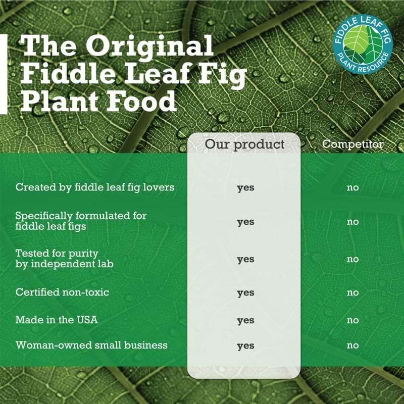 Fiddle Leaf Fig Plant Food