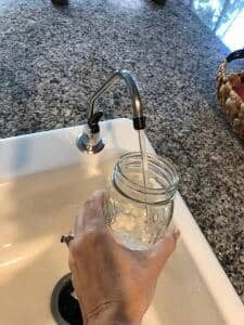 Preparing to Propagate a Fiddle Leaf Fig Plant (With Pictures) 11 Filtered Water
