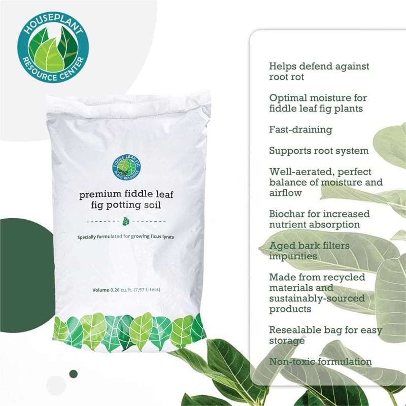 Premium Fiddle Leaf Fig Potting Soil 9 Premium Fiddle Leaf Fig Potting Soil