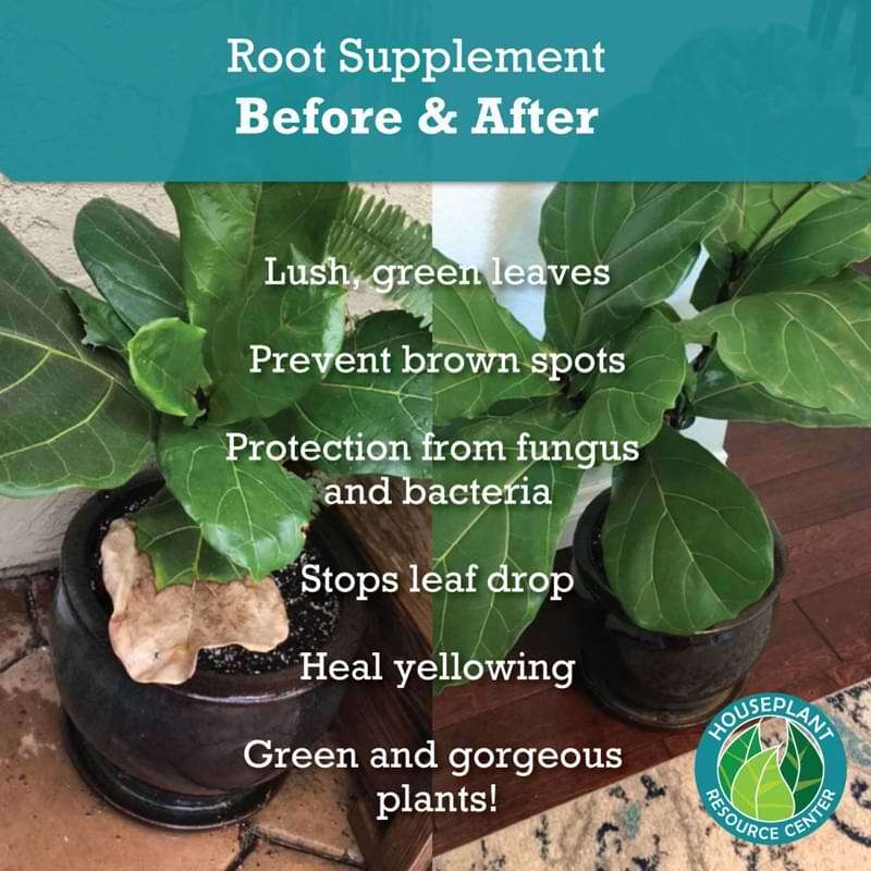 Root Supplement