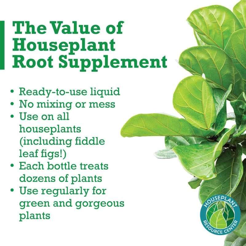 Root Supplement 8 Root Supplement