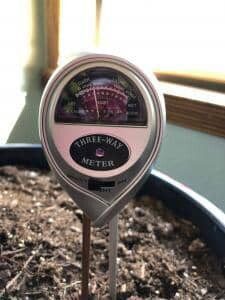 How to Use a Moisture Meter to Know When to Water Your Fiddle Leaf Fig 7 Time to Water