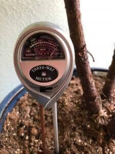 How to Use a Moisture Meter to Know When to Water Your Fiddle Leaf Fig 6 Wet Reading