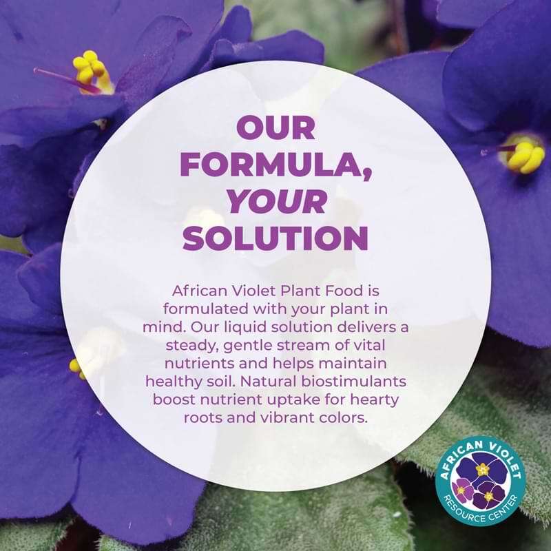 African Violet Plant Food 4 African Violet Plant Food