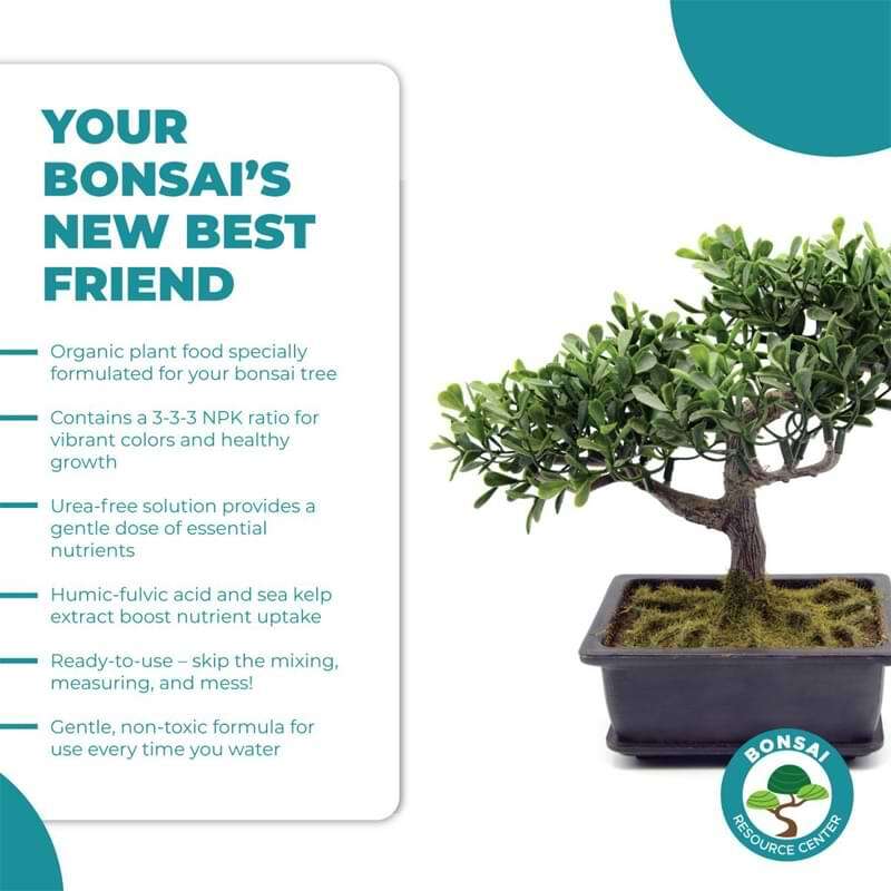 Bonsai Tree Food 4 Bonsai Tree Food