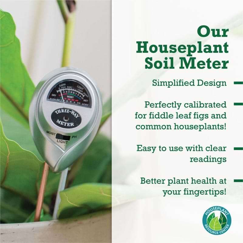 Houseplant Moisture Meter 10 Fiddle Leaf Fig Plant Food Soil Meter