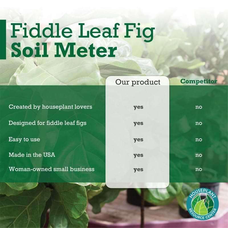 Fiddle Leaf Fig Plant Food Soil Meter