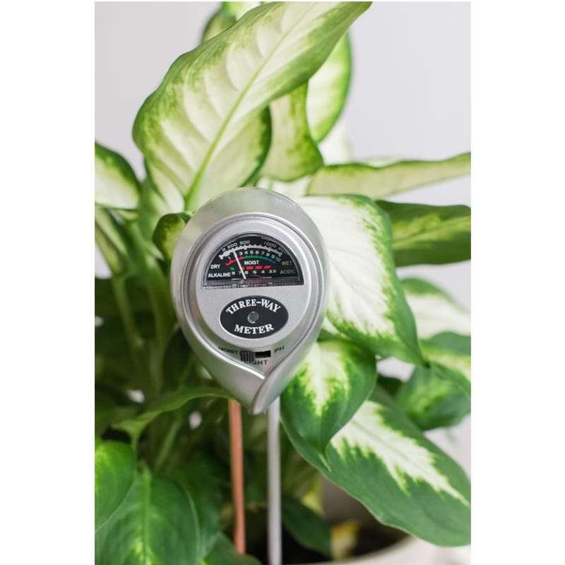 Fiddle Leaf Fig Plant Food Soil Meter