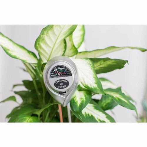 Houseplant Moisture Meter | The Fiddle Leaf Fig Plant Resource