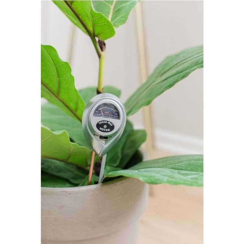 Houseplant Moisture Meter 13 Fiddle Leaf Fig Plant Food Soil Meter