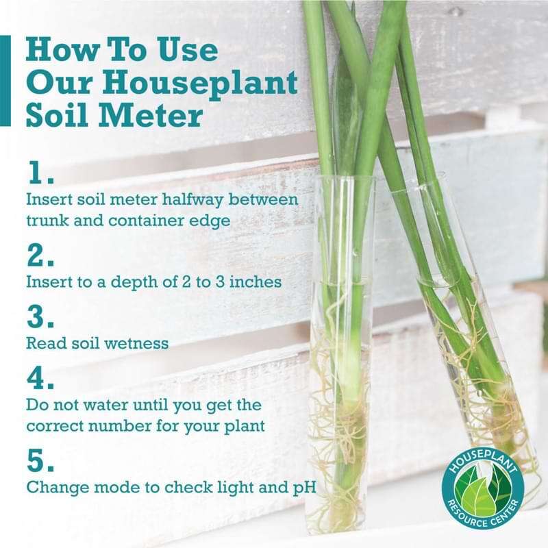 Houseplant Moisture Meter 5 Fiddle Leaf Fig Plant Food Soil Meter