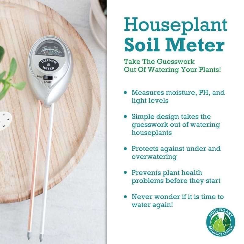 Fiddle Leaf Fig Plant Food Soil Meter