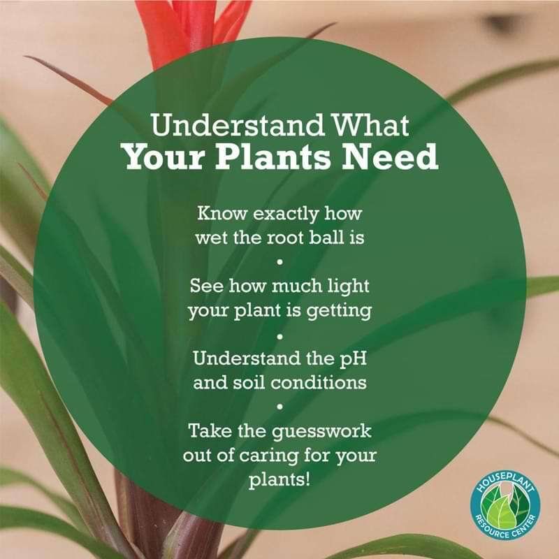 Houseplant Moisture Meter 7 Fiddle Leaf Fig Plant Food Soil Meter